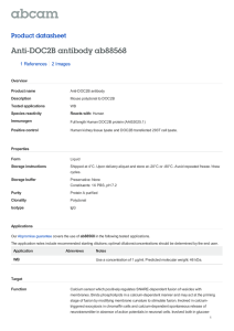 Anti-DOC2B antibody ab88568 Product datasheet 1 References 2 Images