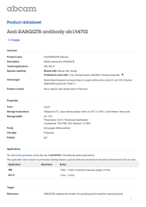 Anti-RABGGTB antibody ab154702 Product datasheet 4 Images
