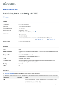 Anti-Enkephalin antibody ab77273 Product datasheet 2 Images