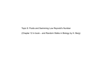 Reynold’s Number Topic 9: Fluids and Swimming Low