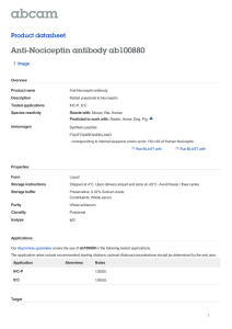 Anti-Nociceptin antibody ab100880 Product datasheet 1 Image