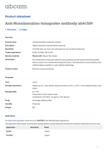 Anti-Noradrenaline transporter antibody ab41559 Product datasheet 1 Abreviews 2 Images