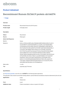 Recombinant Human SLC6A19 protein ab166274 Product datasheet 1 Image Overview