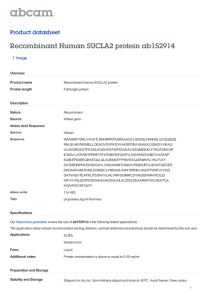 Recombinant Human SUCLA2 protein ab152914 Product datasheet 1 Image Overview