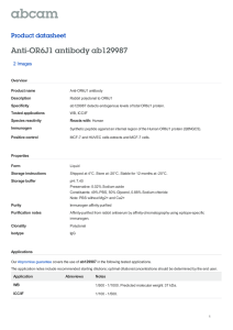 Anti-OR6J1 antibody ab129987 Product datasheet 2 Images Overview