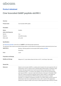 Cow truncated GARP peptide ab39811 Product datasheet Overview Product name