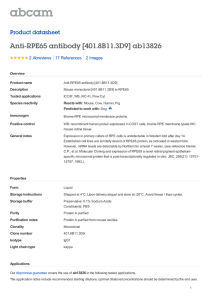 Anti-RPE65 antibody [401.8B11.3D9] ab13826 Product datasheet 2 Abreviews 2 Images