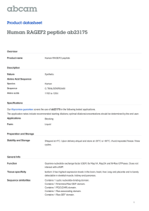 Human RAGEF2 peptide ab23175 Product datasheet Overview Product name