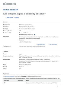Anti-Integrin alpha 1 antibody ab106267 Product datasheet 1 References 1 Image
