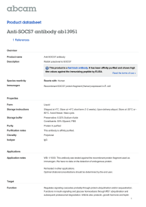 Anti-SOCS7 antibody ab13951 Product datasheet 1 References
