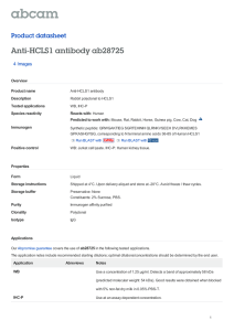 Anti-HCLS1 antibody ab28725 Product datasheet 4 Images