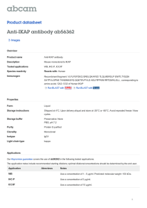 Anti-IKAP antibody ab56362 Product datasheet 3 Images Overview