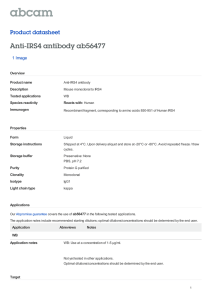 Anti-IRS4 antibody ab56477 Product datasheet 1 Image Overview