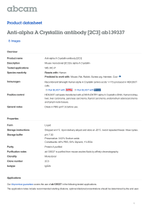 Anti-alpha A Crystallin antibody [2C3] ab139337 Product datasheet 8 Images