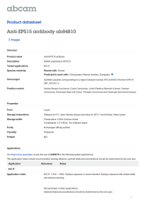 Anti-EPS15 antibody ab84810 Product datasheet 3 Images