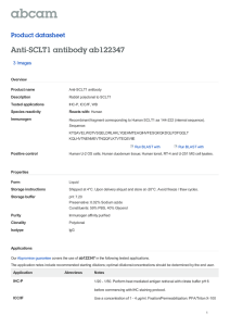 Anti-SCLT1 antibody ab122347 Product datasheet 3 Images Overview