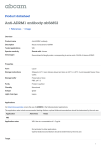 Anti-ADRM1 antibody ab56852 Product datasheet 1 References 1 Image