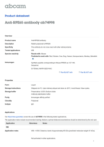 Anti-RPE65 antibody ab74998 Product datasheet Overview Product name
