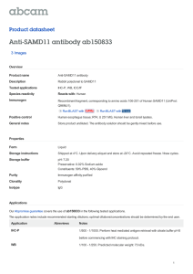Anti-SAMD11 antibody ab150833 Product datasheet 3 Images Overview
