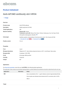 Anti-AP1M2 antibody ab118934 Product datasheet 1 Image