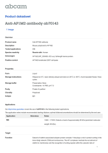 Anti-AP1M2 antibody ab70143 Product datasheet 1 Image Overview