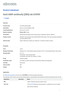 Anti-ARH antibody [2B2] ab123920 Product datasheet 3 Images Overview