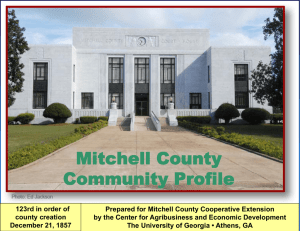 Mitchell County C it   P fil Community Profile