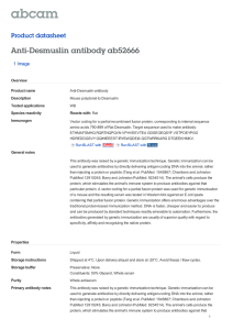 Anti-Desmuslin antibody ab52666 Product datasheet 1 Image Overview