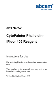ab176752 CytoPainter Phalloidin- iFluor 405 Reagent Instructions for Use