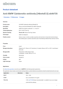 Anti-HMW Cytokeratin antibody [34betaE12] ab86725 Product datasheet 1 Abreviews 3 Images