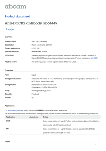 Anti-DOCK2 antibody ab64449 Product datasheet 2 Images Overview
