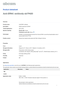Anti-EPB41 antibody ab79420 Product datasheet