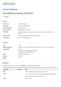 Anti-KRT6B antibody ab154313 Product datasheet 3 Images Overview