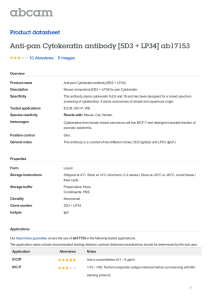 Anti-pan Cytokeratin antibody [5D3 + LP34] ab17153 Product datasheet 10 Abreviews 5 Images