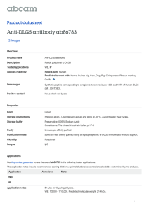 Anti-DLG5 antibody ab86783 Product datasheet 2 Images