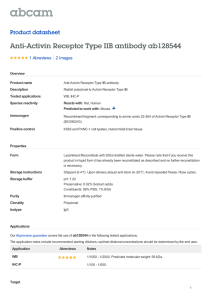 Anti-Activin Receptor Type IIB antibody ab128544 Product datasheet 1 Abreviews 2 Images
