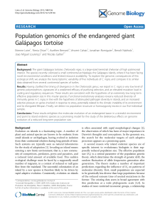 Population genomics of the endangered giant Galápagos tortoise Open Access