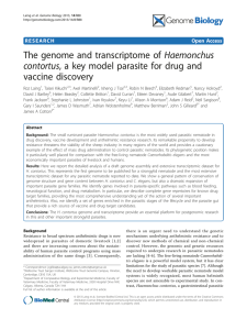 The genome and transcriptome of Haemonchus vaccine discovery