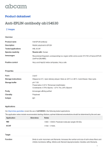 Anti-EPLIN antibody ab154530 Product datasheet 2 Images Overview