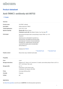 Anti-TNNC1 antibody ab180732 Product datasheet 2 Images