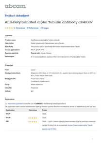 Anti-Detyrosinated alpha Tubulin antibody ab48389 Product datasheet 4 Abreviews 2 Images