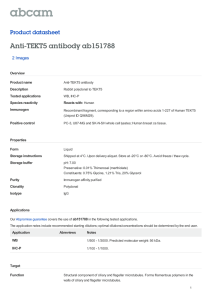 Anti-TEKT5 antibody ab151788 Product datasheet 2 Images Overview