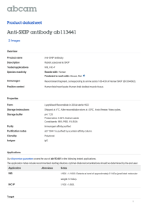 Anti-SKIP antibody ab113441 Product datasheet 2 Images