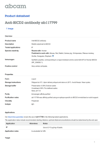Anti-BICD2 antibody ab117799 Product datasheet 1 Image