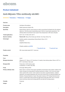 Anti-Myosin VIIa antibody ab3481 Product datasheet 7 Abreviews 5 Images