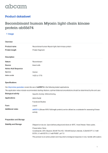 Recombinant human Myosin light chain kinase protein ab55674