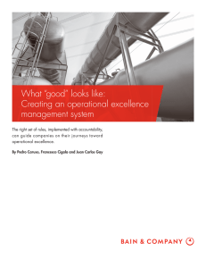 What “good” looks like: Creating an operational excellence management system