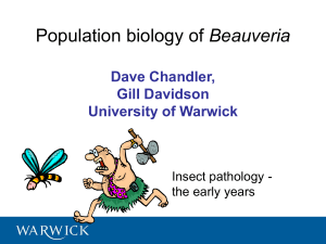 Beauveria Dave Chandler, Gill Davidson University of Warwick