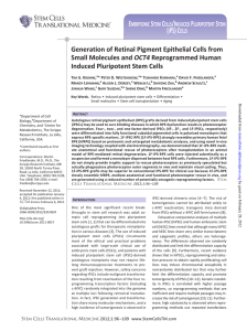 Generation of Retinal Pigment Epithelial Cells from OCT4 Induced Pluripotent Stem Cells