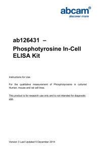 ab126431  – Phosphotyrosine In-Cell ELISA Kit